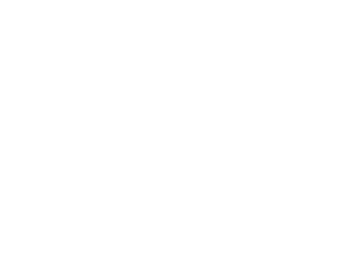Watermark