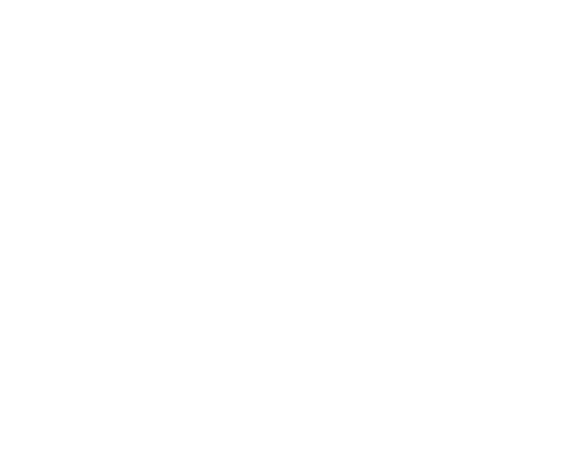 Watermark